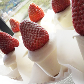 木次ヨーグルトから作ったフレッシュチーズのレアチーズケーキ